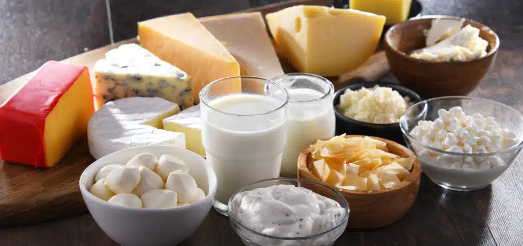 cheeses and dairy products